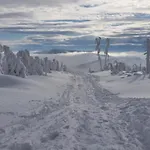 Sfera Luxusu - Widok Na Gory, Ogrod Na Dachu I Parking W Cenie! Pkp I Bus 650m, Energylandia, Szczyrk, Enduro, Jezioro Zywieckie Apartment Bielsko-Biala