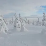 Sfera Luxusu - Widok Na Gory, Ogrod Na Dachu I Parking W Cenie! Pkp I Bus 650m, Energylandia, Szczyrk, Enduro, Jezioro Zywieckie Apartment *