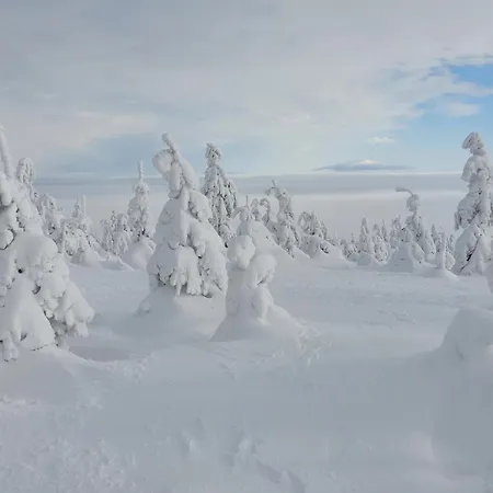 Sfera Luxusu - Widok Na Gory, Ogrod Na Dachu I Parking W Cenie! Apartment *