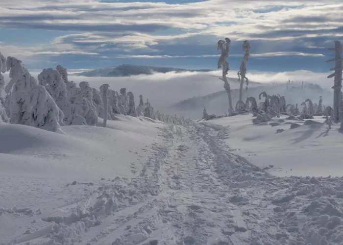 Sfera Luxusu - Widok Na Gory, Ogrod Na Dachu I Parking W Cenie! Apartment Bielsko-Biala
