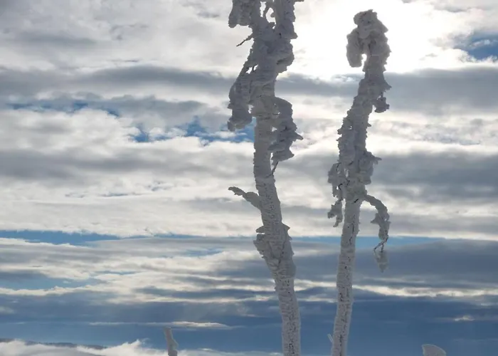 Sfera Luxusu - Widok Na Gory, Ogrod Na Dachu I Parking W Cenie! * Bielsko-Biala