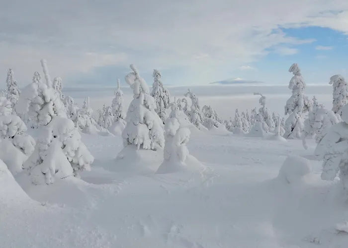 Sfera Luxusu - Widok Na Gory, Ogrod Na Dachu I Parking W Cenie! Apartment *